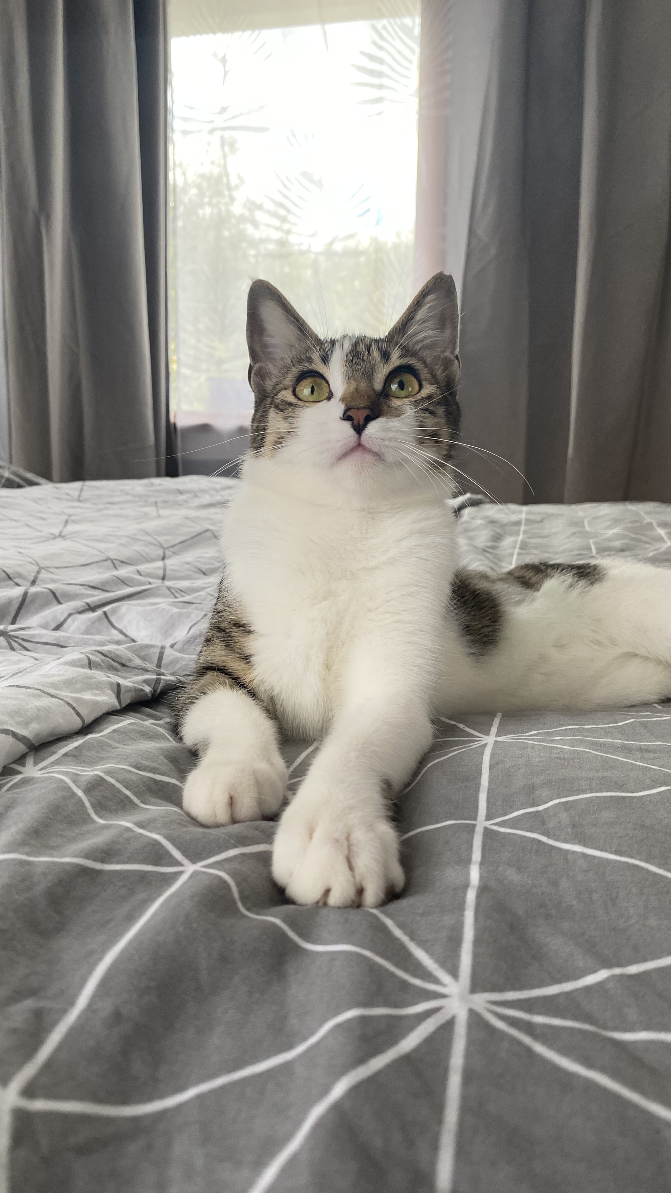 Jen kalıcı yuvasını arıyor 🧶